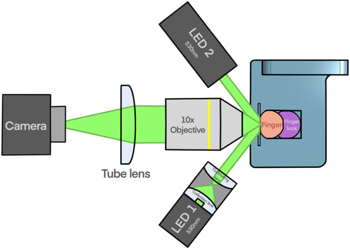 Ray diagram of the capillary microscope showing camera, tube lens, 10x objective, LED illumination, and the inflatable finger-lock
